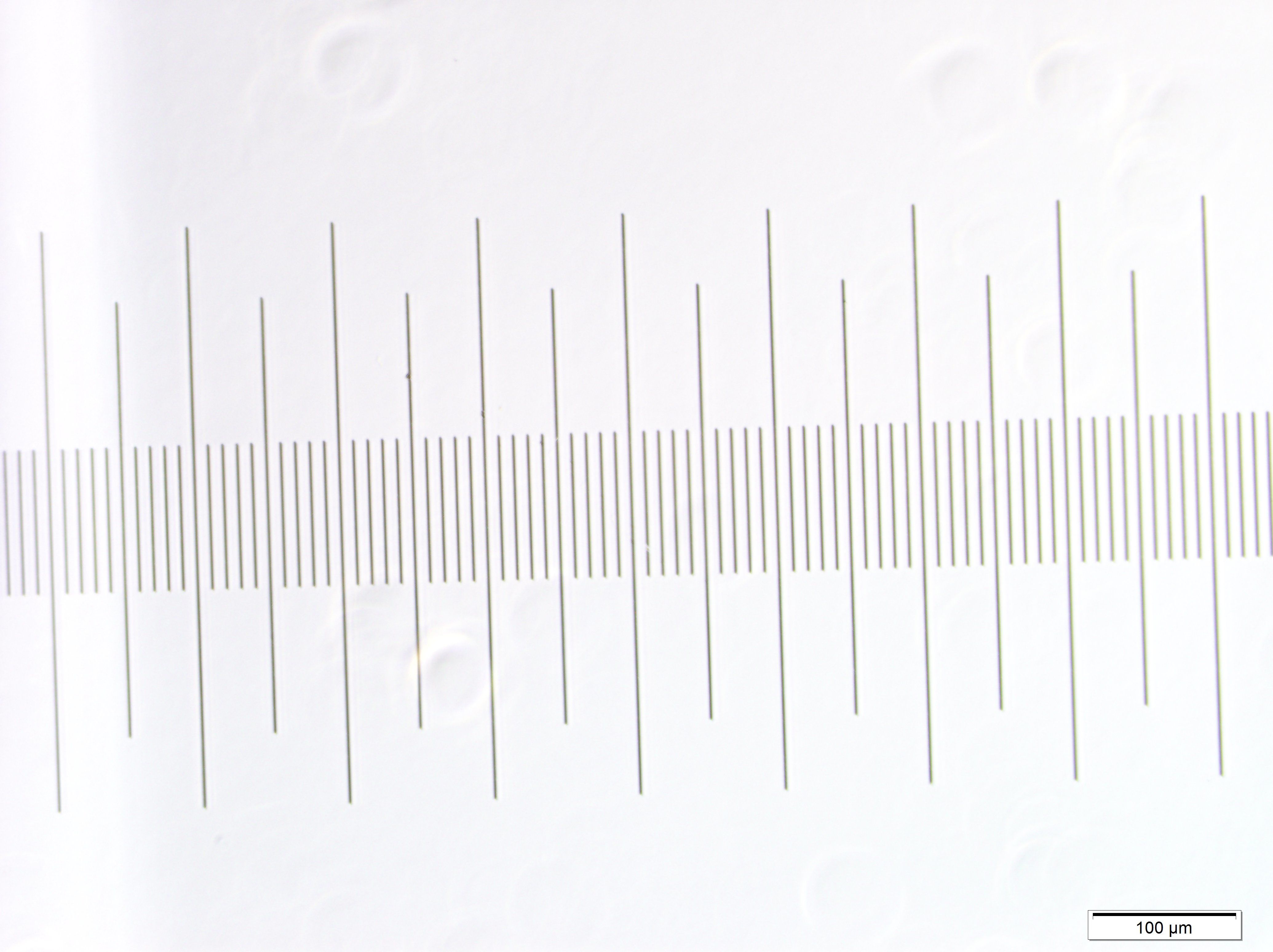 20倍ミクロメーター - コピー (3)